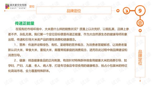 文化經(jīng)紀人服務(wù)驅(qū)動大米姐品牌營銷策劃方案